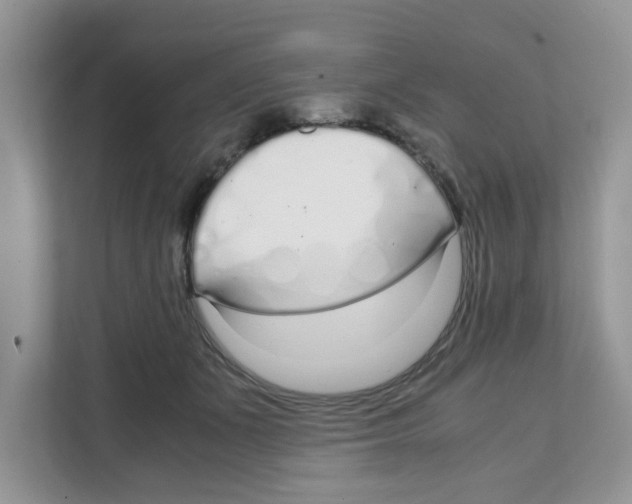 X0000108480511200905011204