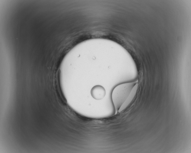 X0000108480519200905011204