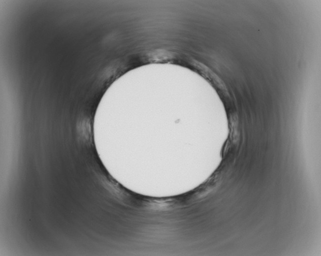 X0000108480523200905011204