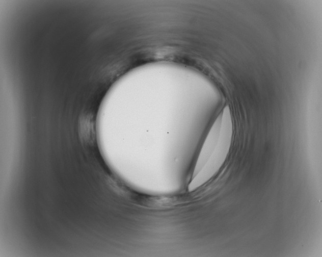 X0000108480527200905011204