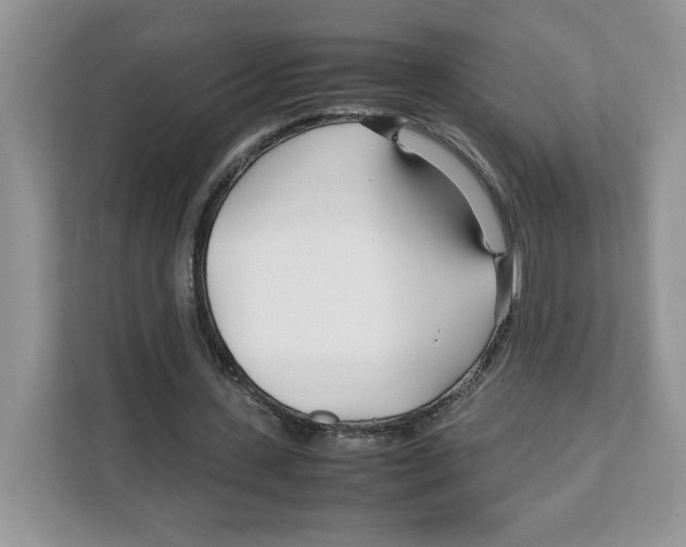X0000108480531200905011204