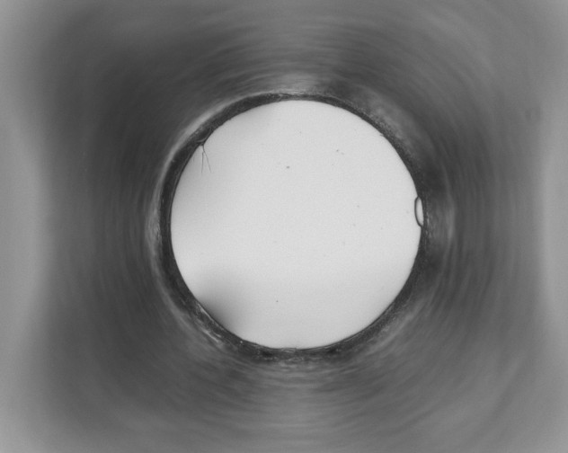 X0000108480532200905011204