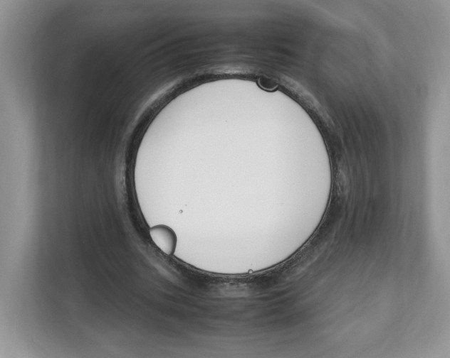 X0000108480535200905011204