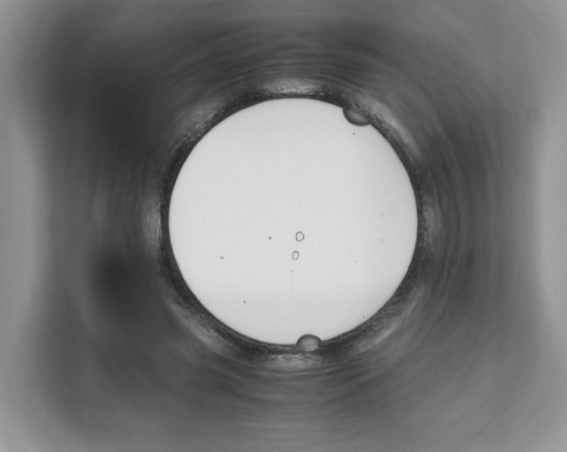 X0000108480541200905011204