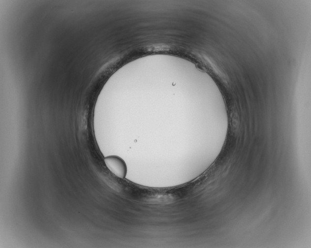 X0000108480543200905011204
