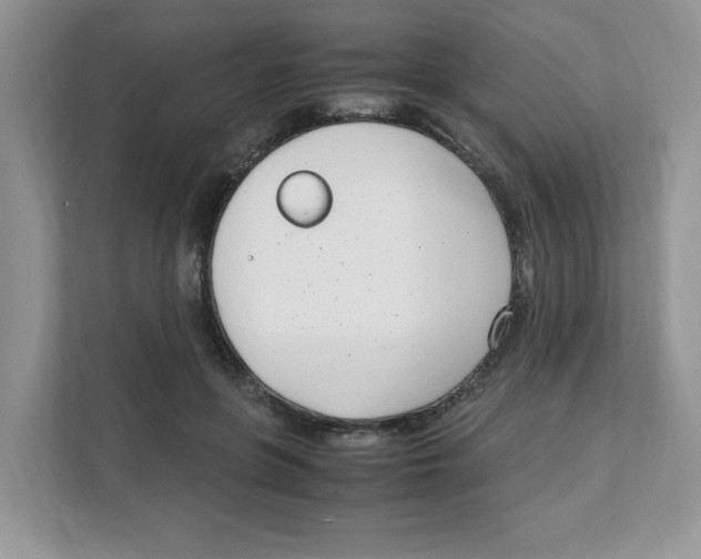 X0000108480551200905011204