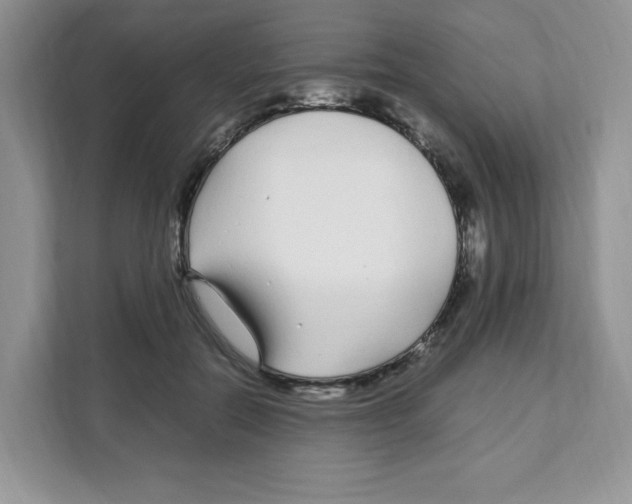 X0000108480554200905011204