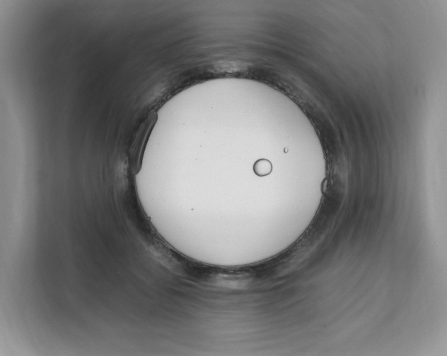 X0000108480556200905011204
