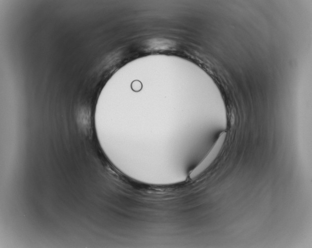 X0000108480559200905011204