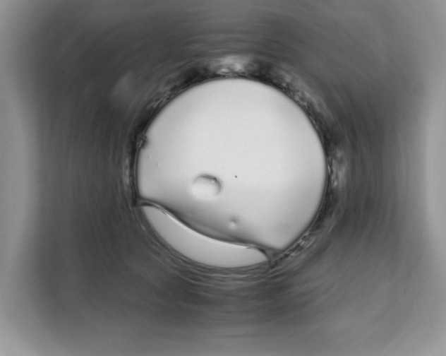 X0000108480561200905011204