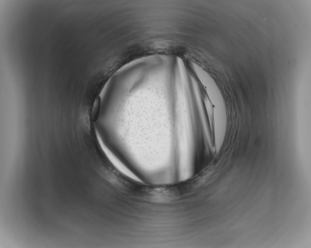 X0000108480562200905011204