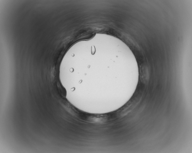 X0000108480563200905011204