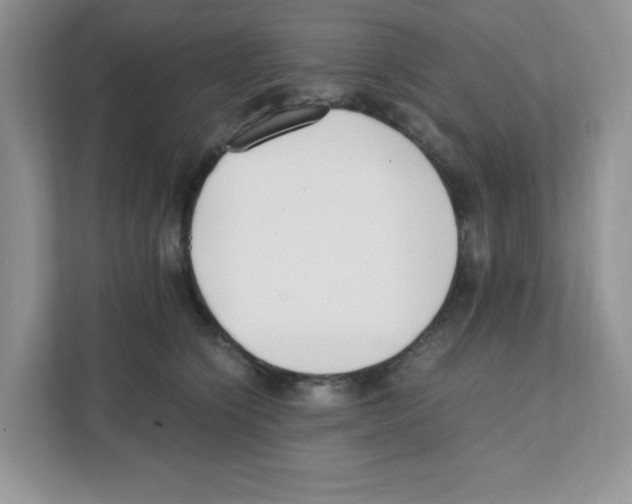 X0000108480564200905011204