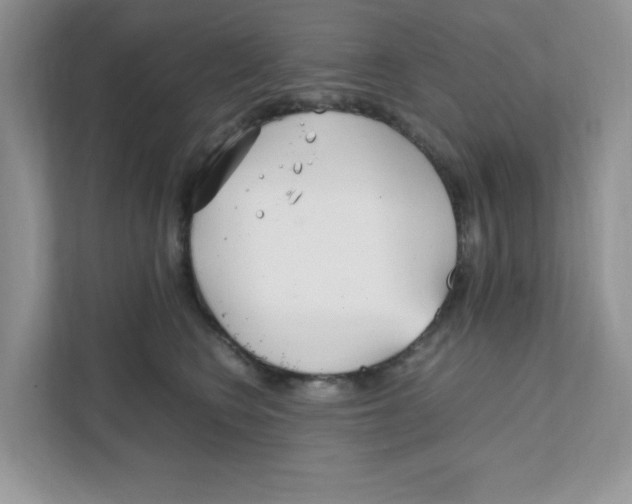 X0000108480566200905011204