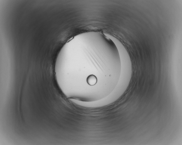 X0000108480568200905011204