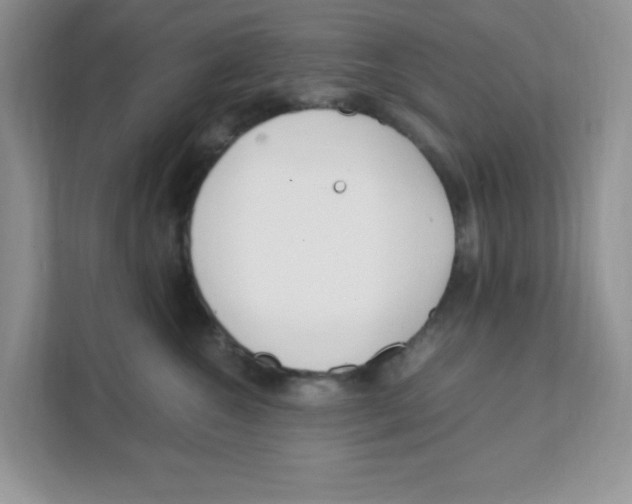 X0000108480572200905011204