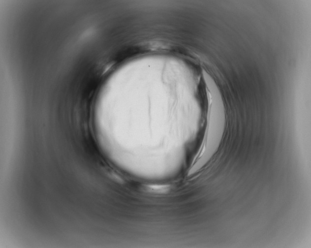 X0000108480573200905011204