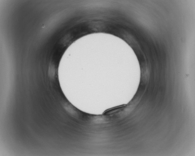 X0000108480574200905011204