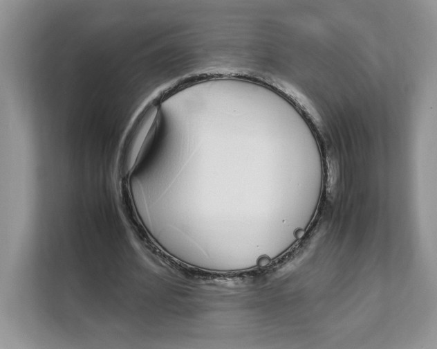 X0000108480580200905011204