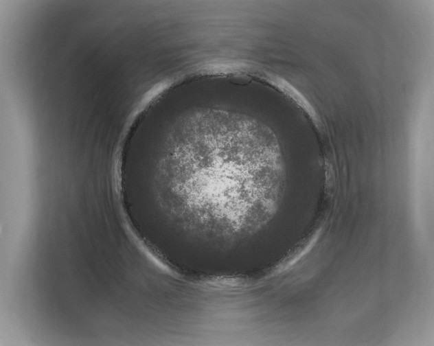X0000108480581200905011204