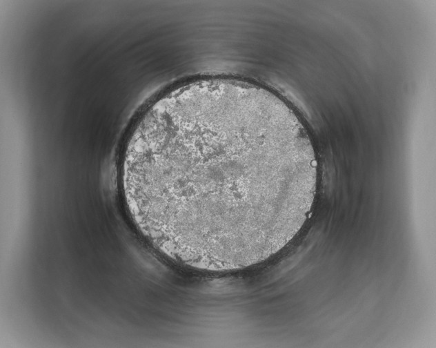 X0000108480584200905011204