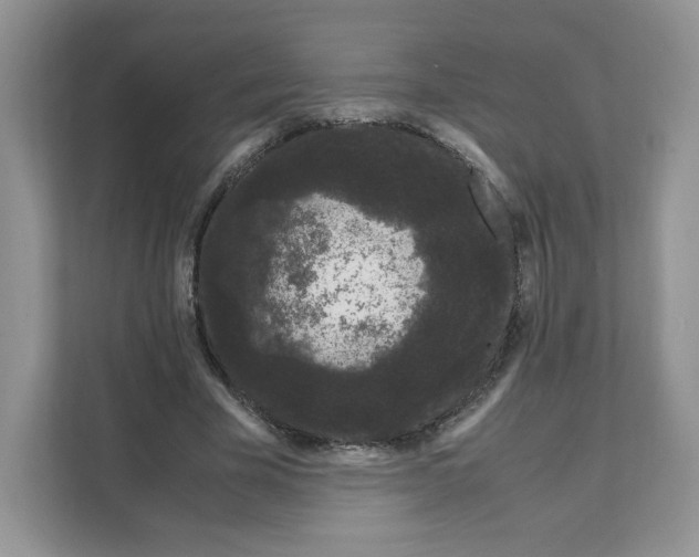 X0000108480585200905011204