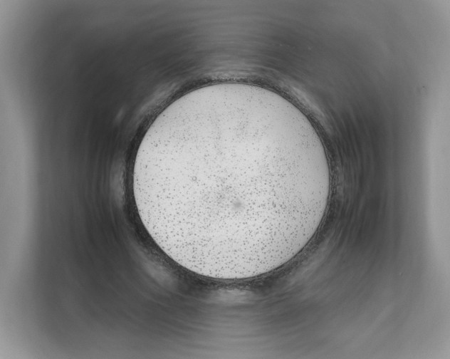 X0000108480586200905011203