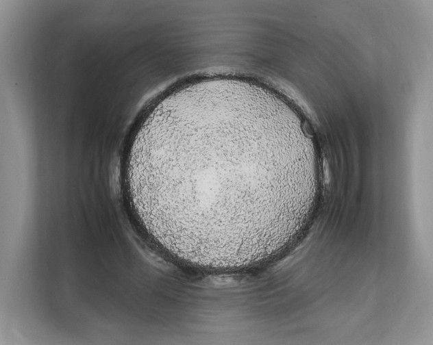 X0000108480588200905011203