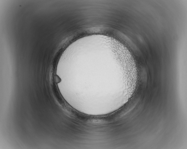 X0000108480590200905011203