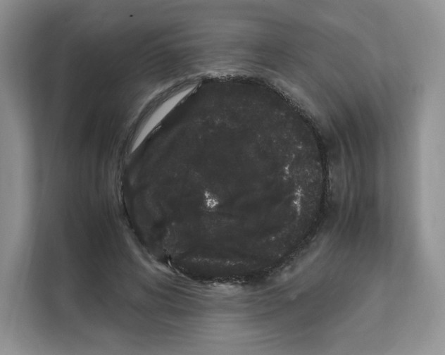 X0000108480592200905011203