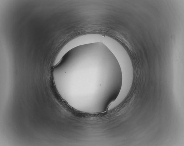 X0000108480593200905011203