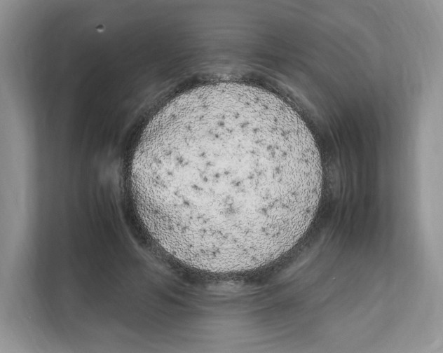 X0000108480594200905011203