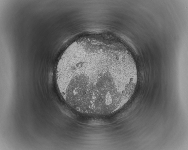 X0000108480596200905011203