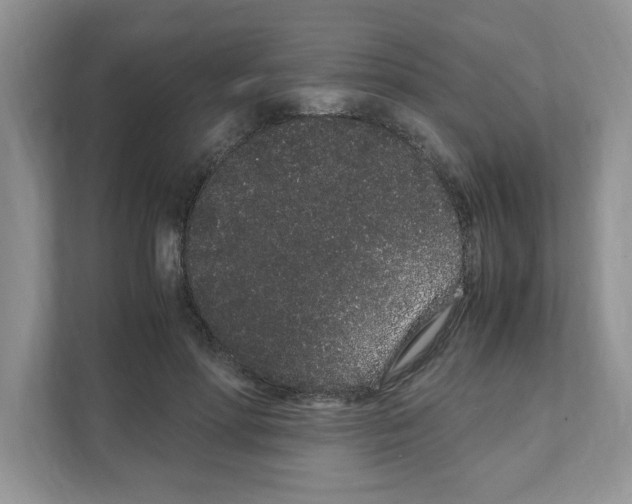 X0000108480598200905011203