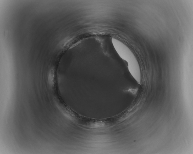 X0000108480600200905011203