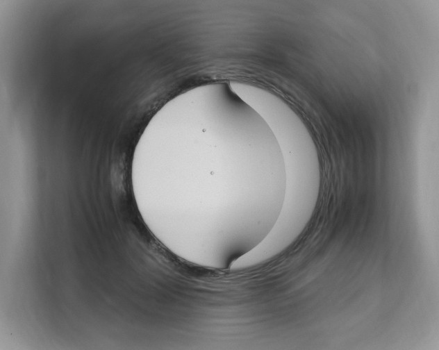 X0000108480604200905011203