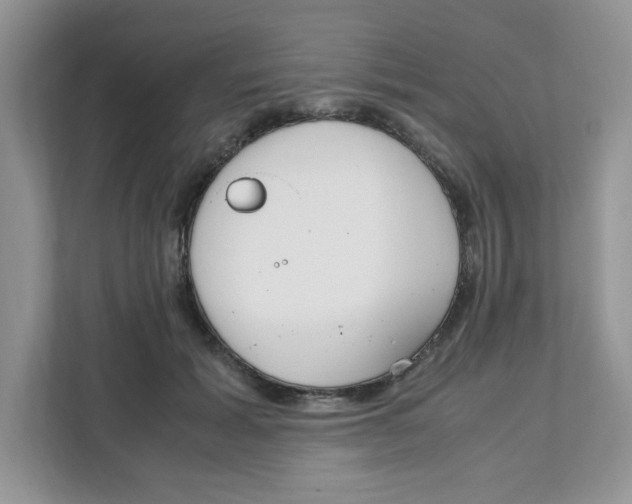 X0000108480605200905011203