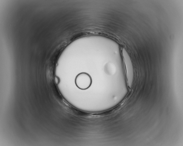 X0000108480606200905011203