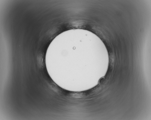 X0000108480615200905011203