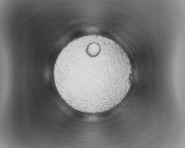X0000108480618200905011203