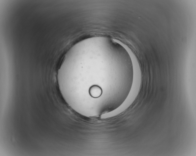 X0000108480621200905011203