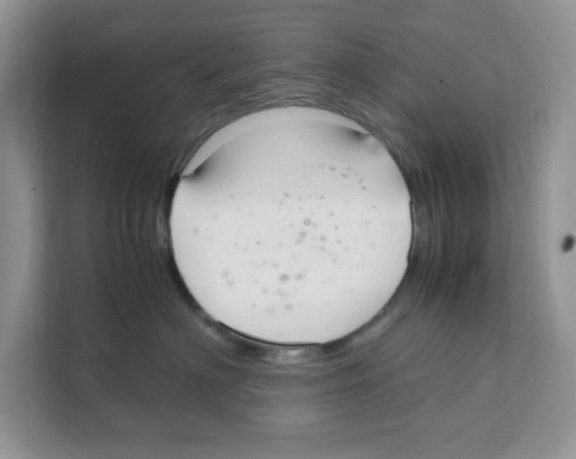 X0000108480622200905011203