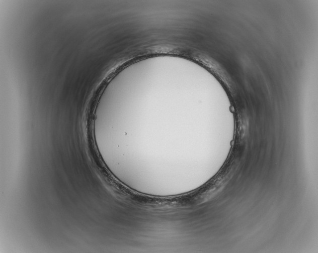 X0000108480626200905011202