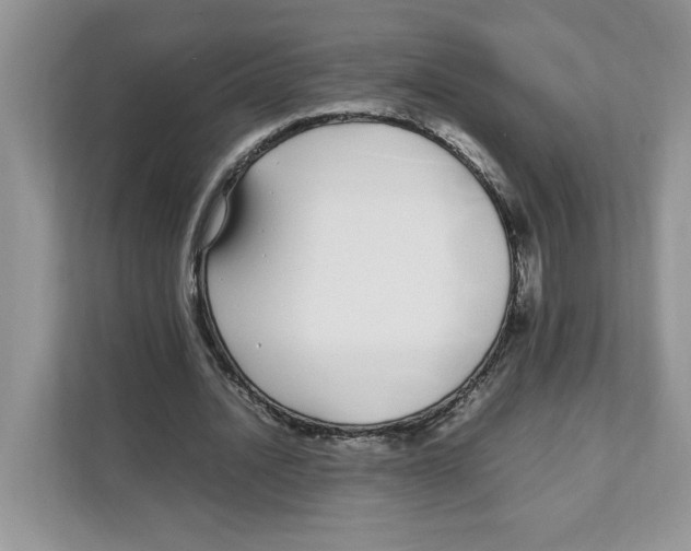 X0000108480628200905011202