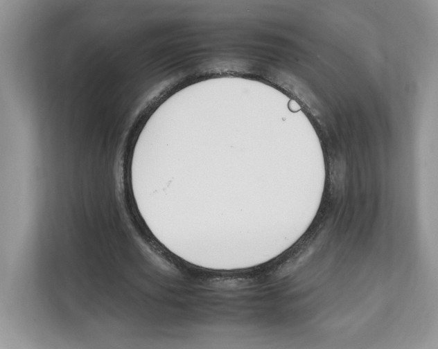 X0000108480629200905011202