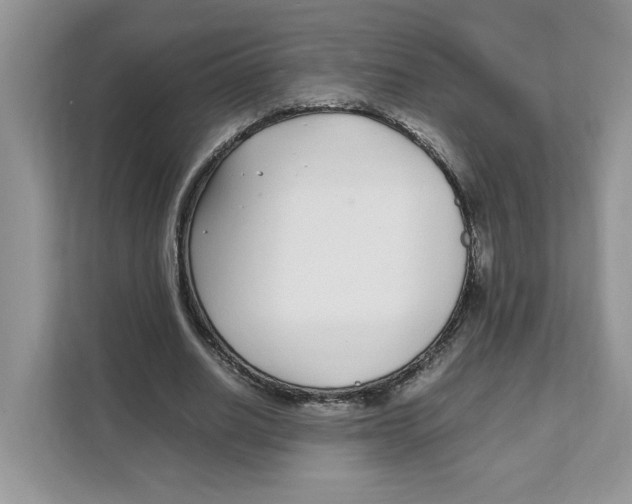 X0000108480630200905011202