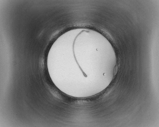 X0000108480636200905011202