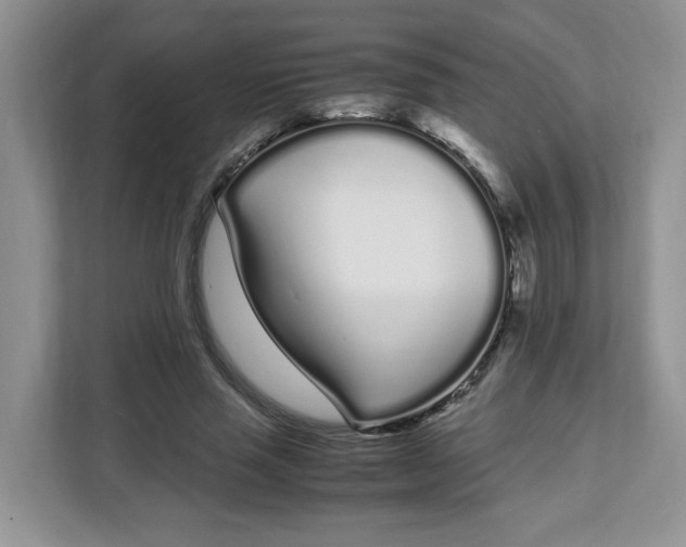 X0000108480637200905011202