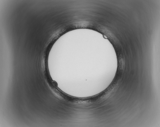X0000108480638200905011202