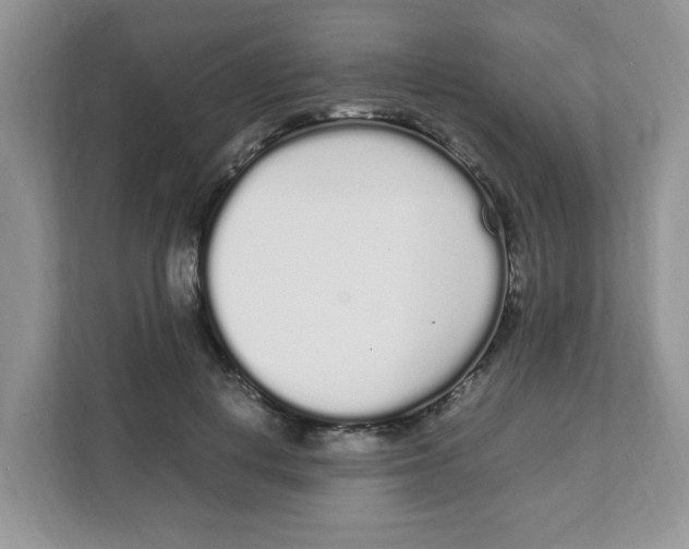 X0000108480648200905011203